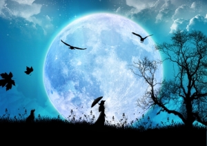 nature_wallpapers_moon-grace